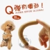 Gourmet Dog Đồ Ăn Nhẹ Xúc Xích Ham Gà Thịt Bò Cá Da Trơn Pet Teddy Golden Retriever Đồ Ăn Nhẹ