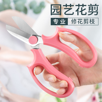 Floral cut gardening floral art scissors wide head home flower cut flowers flowers Dow cut flowers branches Branches to repair branches and tools