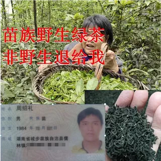 2026 New Tea Natural Wild Pre-Qingming Green Tea Gift Box Miao Bi Luo Chun Non-Maojian Tea High Mountain Cloud Mist Tea