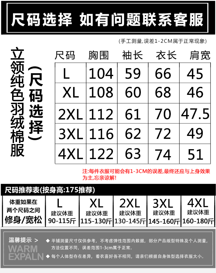 Blouson hiver pour homme   OTHER en Polyester - Ref 3114062 Image 12