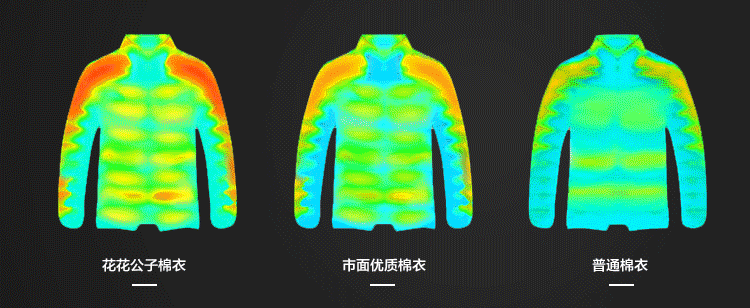 Blouson hiver pour homme   OTHER en Polyester - Ref 3114062 Image 8