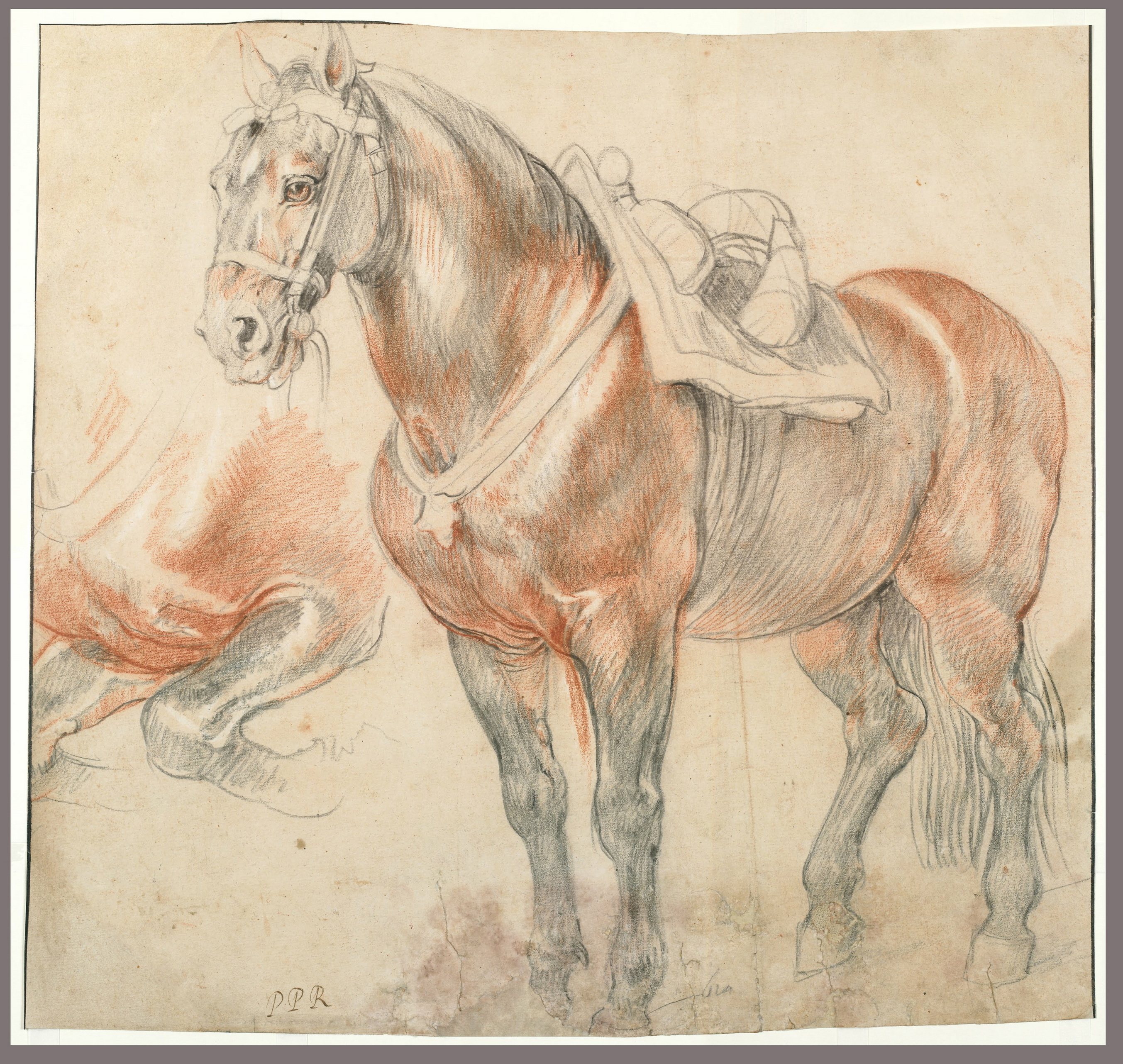 S04C (Germany) Rubens Line 75 sketches of painting material TIF format