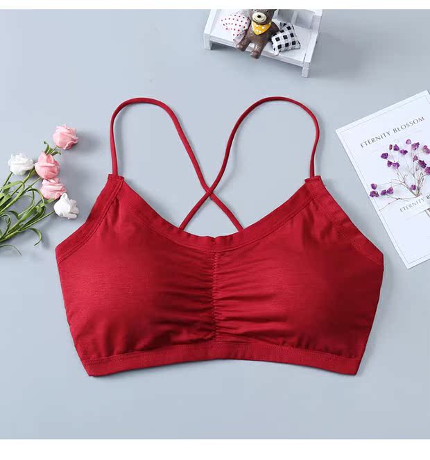 Mùa hè làm đẹp trở lại dây đeo vest nữ cảm giác chéo đai quấn ngực ống đồ lót hàng đầu nữ sinh viên Hàn Quốc phần mỏng - Ống áo ngực