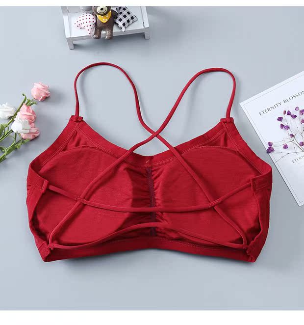 Mùa hè làm đẹp trở lại dây đeo vest nữ cảm giác chéo đai quấn ngực ống đồ lót hàng đầu nữ sinh viên Hàn Quốc phần mỏng - Ống áo ngực