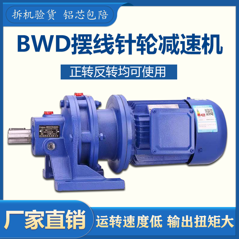 Cycloidal pinwheel reducer three-phase 380V national standard planetary deceleration lifting mixer BWY BWD copper core motor