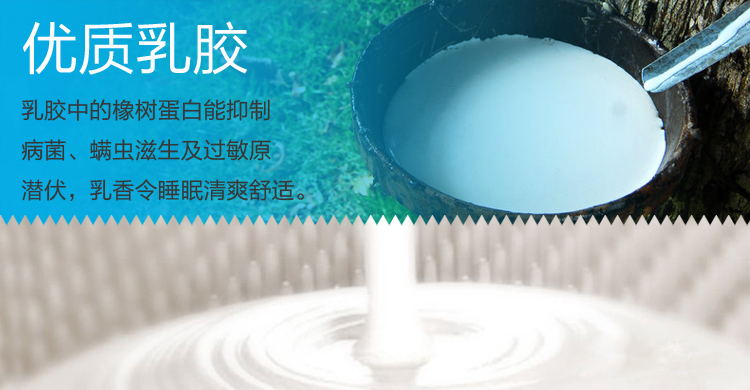 Simmons Spring Nệm cao su thiên nhiên Nệm Coir siêu yên tĩnh Túi đơn mùa xuân 1.5m1.8m Giường - Nệm giá nệm kymdan
