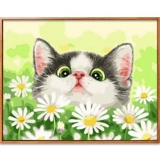 Jiacai tianyan diy цифровой масляной картины