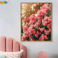 G709 Розовая стена