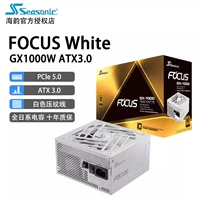 Focus GX1000 White ATX3.0 Золотая медаль Полный модуль [рейтинг 1000 Вт]