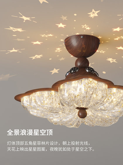 Bedroom Ceiling Light 2026 New Model Warm and Romantic Floral Main Bedroom Children's Room Sunset Starry Atmosphere Main Light