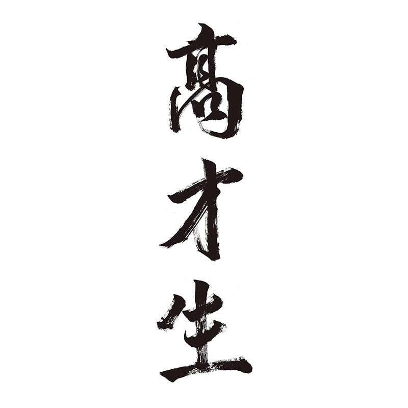 高才生旗舰店