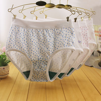 Slip Moyen-âge en coton - Ref 641556 Image 10