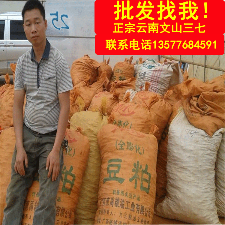 Sanqi head Wenshan premium imitation wild 500 grams of Sanqi powder Wenshan premium 20 heads 30 heads of Tianqi
