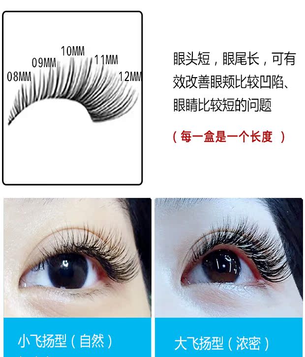 Camellia ghép lông mi tự động một giây hoa từ tính không rễ trồng lông mi giả tự nhiên mi lông chồn
