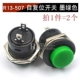 R13-507 Self-Shute Switch Ink Green (2)