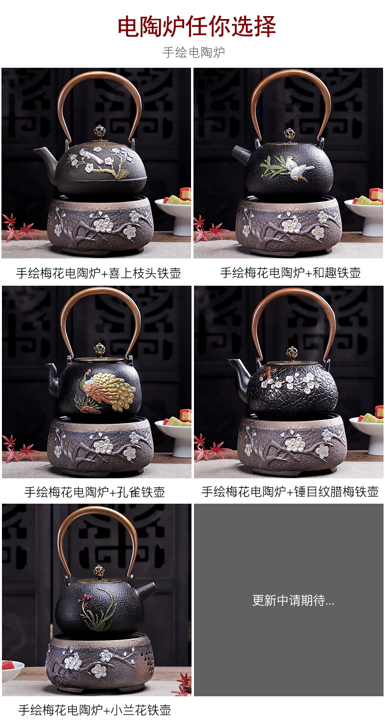 Electric TaoLu boiled tea, iron pot of boiling glass teapot household kung fu tea set teapot tea stove cooking kettle