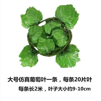 12 пакетов из больших виноградных листьев