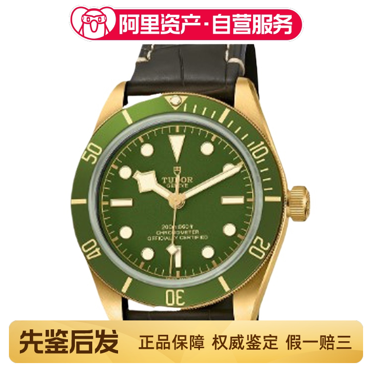 Brand New Tudor Black Bay Series Gold 39mm Green Dial M79018V-0001 Automatic Mechanical Men's Watch