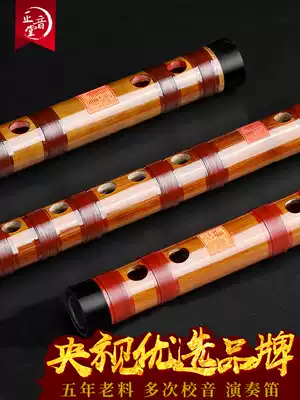 Zhengyintang flute musical instrument iron core bamboo flute horizontal flute double copper professional collection musical instrument Zhengyintang master production