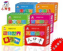 Baby learning card tear not rotten childrens literacy card early education picture recognition card full set of 210 cards