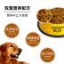 Gửi thức ăn cho chó 10kg chó trưởng thành 20 kg phổ quát Corgi Teddy Golden Retriever hơn Xiong Bomei Satsuma - Chó Staples