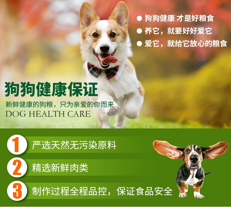 Gửi thức ăn cho chó 10kg chó trưởng thành 20 kg phổ quát Corgi Teddy Golden Retriever hơn Xiong Bomei Satsuma - Chó Staples