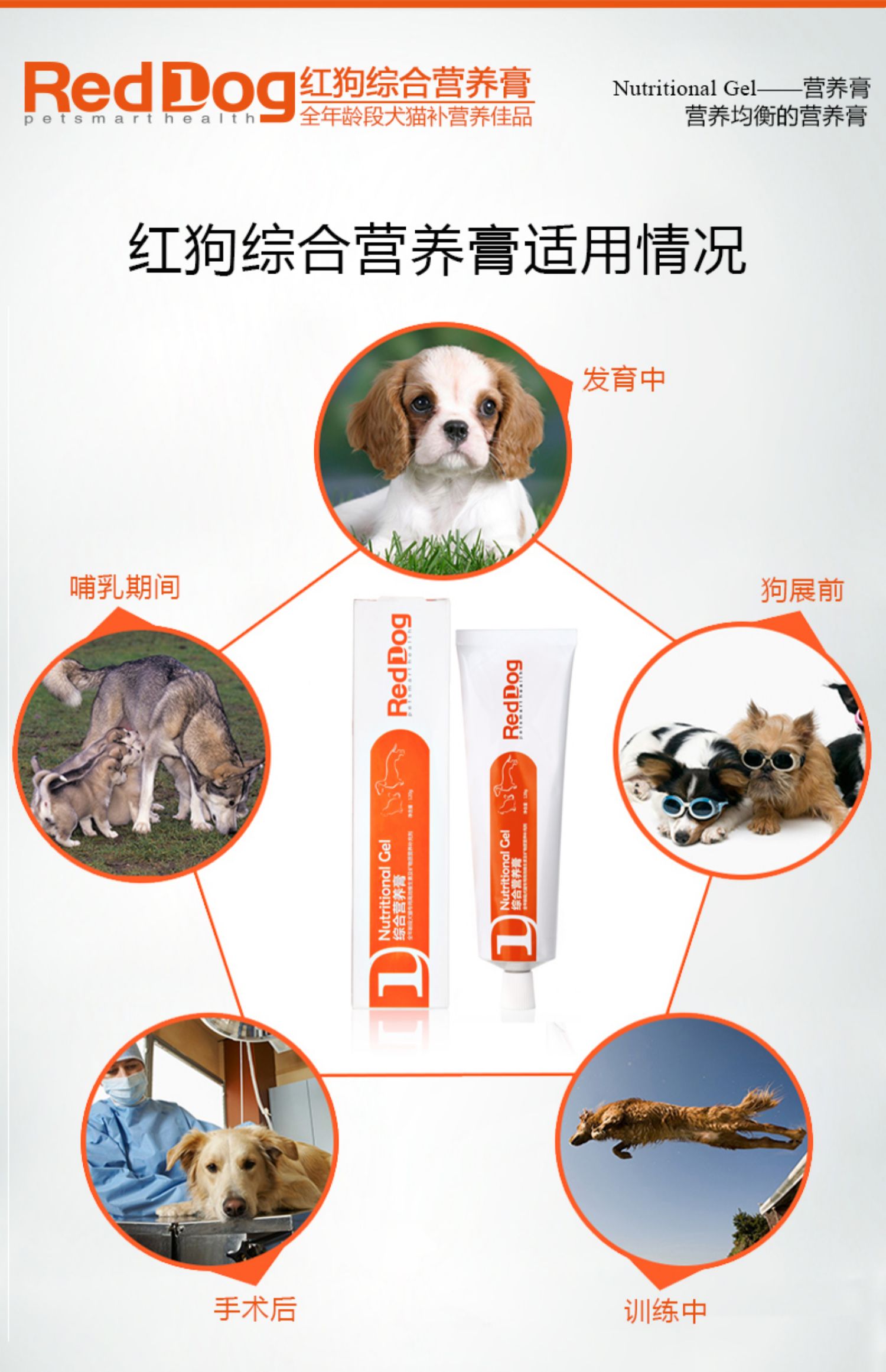 RedDog Red Dog Kem dinh dưỡng toàn diện 120g Mỹ Pet Young Cat Dog Kem dinh dưỡng Dog and Cat General - Cat / Dog Health bổ sung sữa mèo con