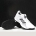 Adidas Adidas Chính hãng Pro Spark Low Team Foundation Giày bóng rổ nam AP9838 - Giày bóng rổ