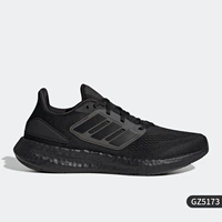GZ5173