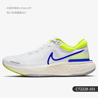 CT2228-101 Мужская модель