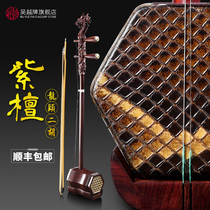 Wuyue brand erhu Shanghai national musical instrument rosewood pan dragon head stringed piano collection gift performance factory direct sales