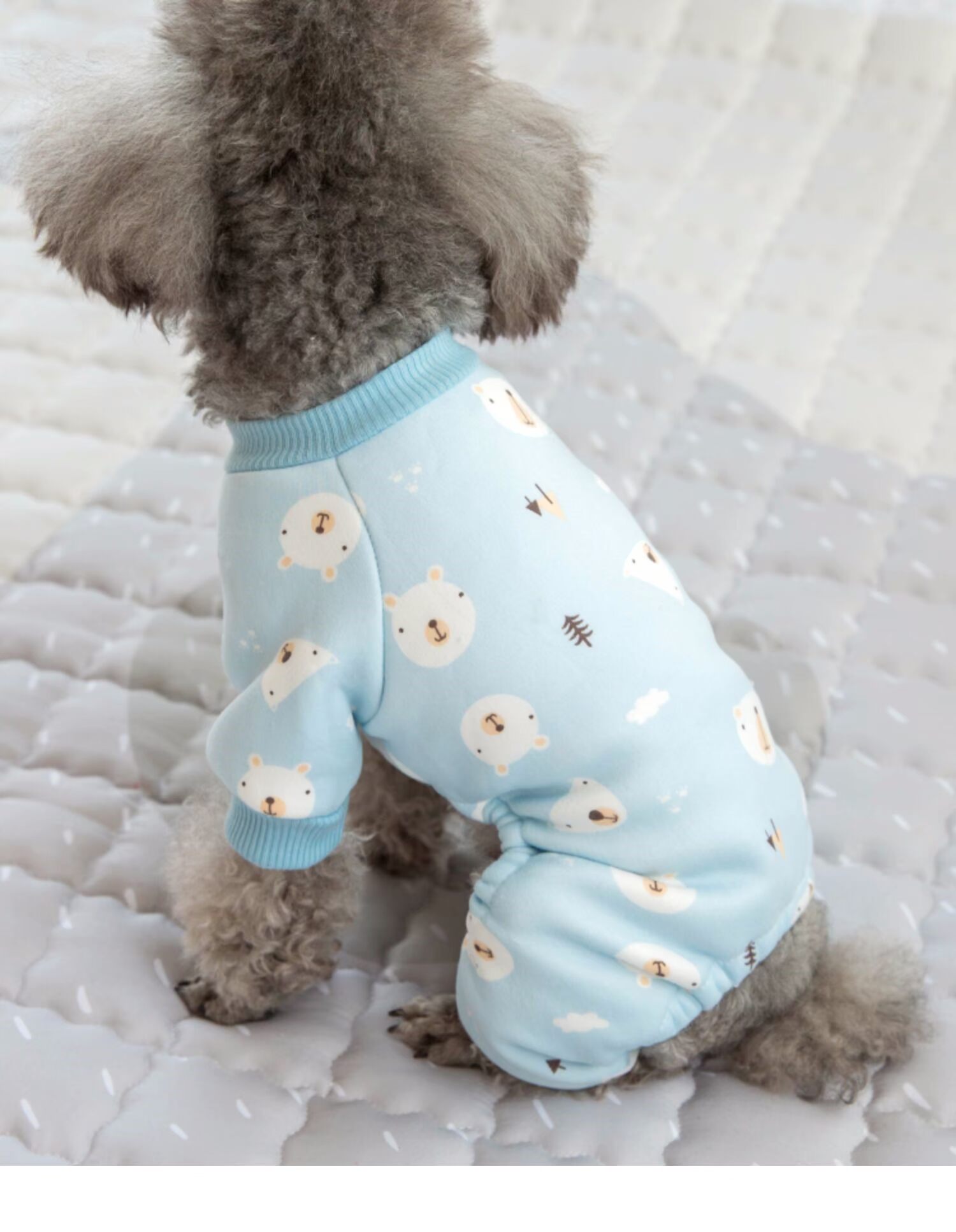 Trang phục quần áo đồ ngủ cho thú cưng trang trí với quần áo chó nhỏ Teddy chó con VIP quần áo mèo quần áo mùa xuân - Quần áo & phụ kiện thú cưng quần áo cho chó con