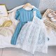 Girls Puff Sleeve Princess Dress Summer Dress 2022 New Children's Korean Lace Dress Little Girl Suit Skirt