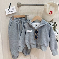 Серая цепочка на двойную молнию 𫔀куртка с капюшоном+повседневные 𫔮брюки