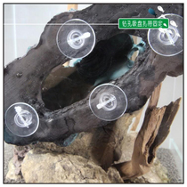 Fields Garden Stroll Quality High Transparent Tie Suction Cups Access to Water Fixed Creative Moss Wall Production