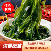 Kelp tender seedlings 500g fresh quick-frozen salted small kelp tender seedlings cold salad hot pot commercial ingredients Xiapu specialty