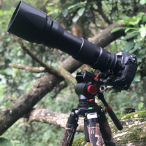 Upgrade Jiaxinyue 36 pipe diameter professional bird camouflage tripod carbon fiber telephoto tripod