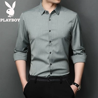 Лонгслив, зеленая рубашка