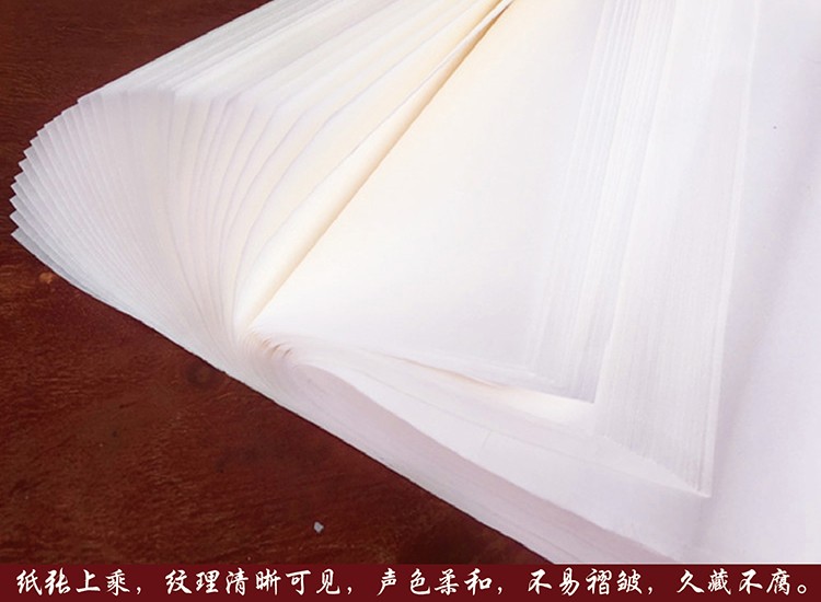 Painting Forum custom Li Xiaoming recommended painting special - 4 feet cicada ripe declaration (5)