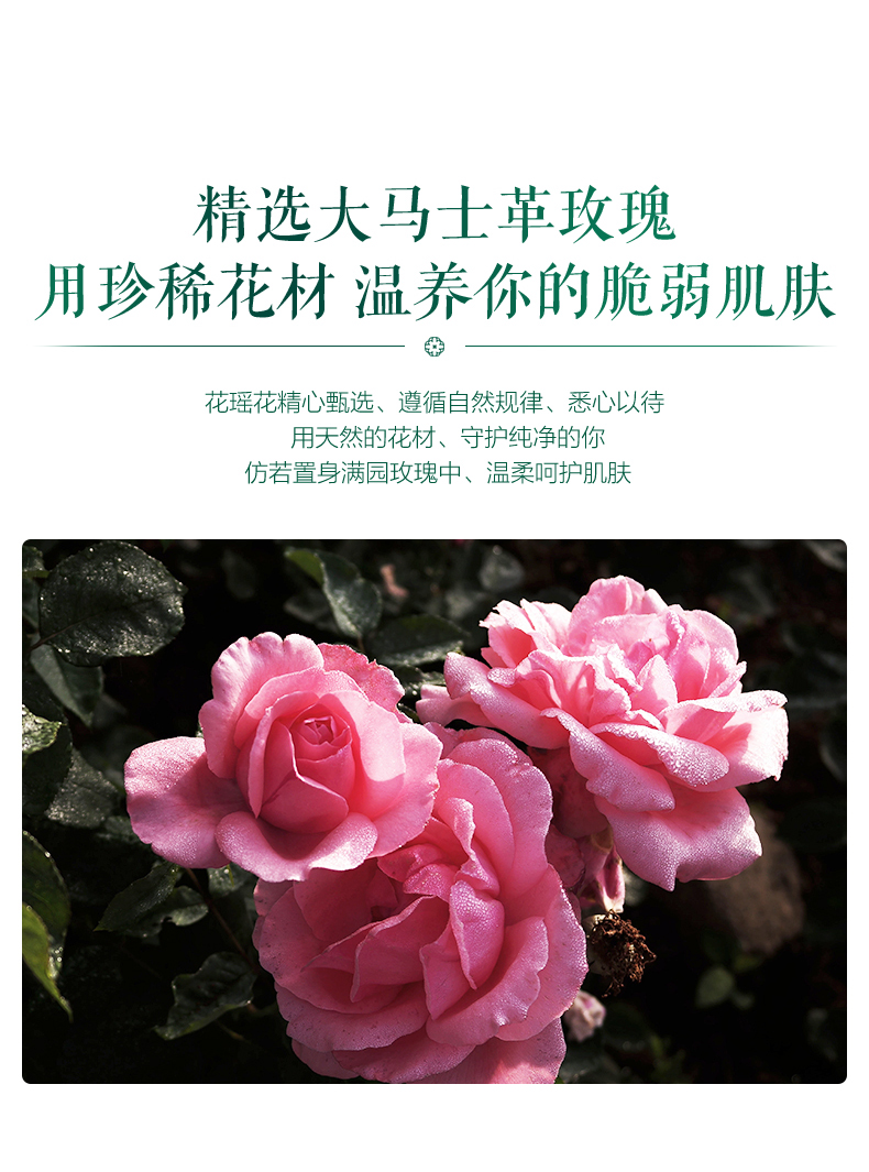 德国红点奖 花瑶花 法国玫瑰睡眠面膜 10颗 图5