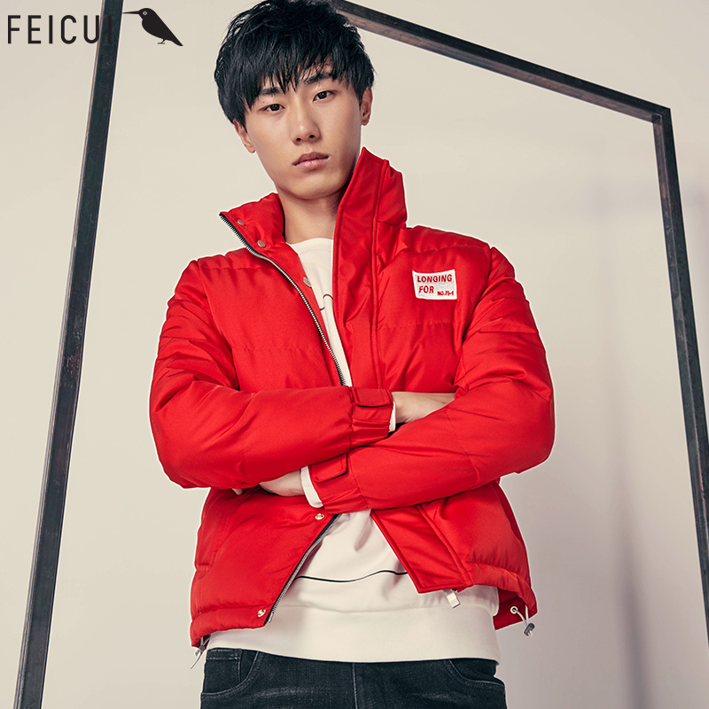 feicui翡翠男装棉衣男冬季加厚立领外套2018新