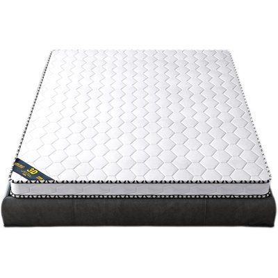 Mattress coconut palm pad natural palm pad rental room children adult household hard environmental protection can be customized folding mat