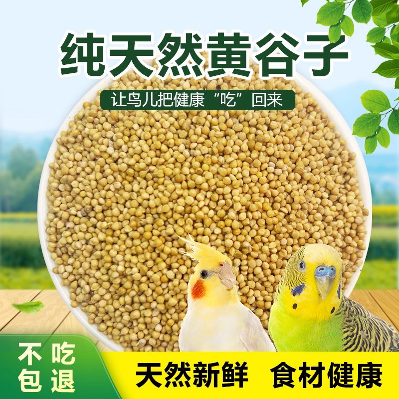 オウムの餌、殻付きキビ、鳥の餌、セキセイインコの餌、特別な穀物栄養飼料