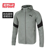 Chính hãng Puma Hummer Huấn luyện bóng đá Chạy bộ Thể dục Thể thao Casual Mũ trùm đầu Áo khoác dài Áo khoác nam