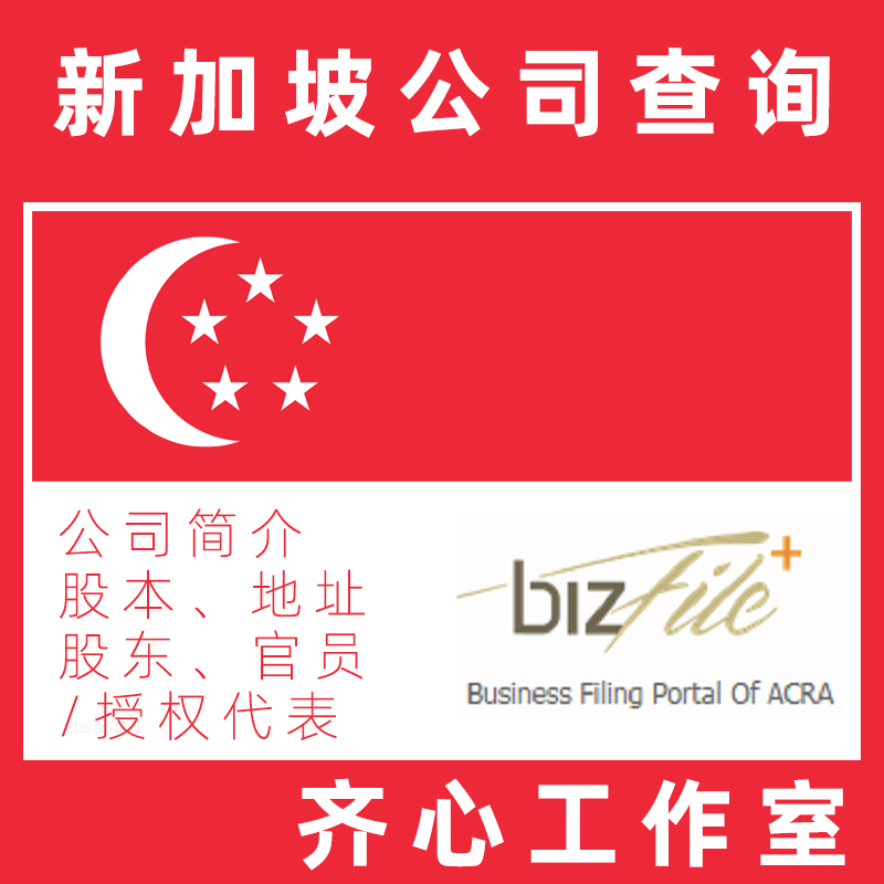 Singapore Company Shareholders Share Capital Address Authorized Representative Business Scope Information Inquiry Records Review
