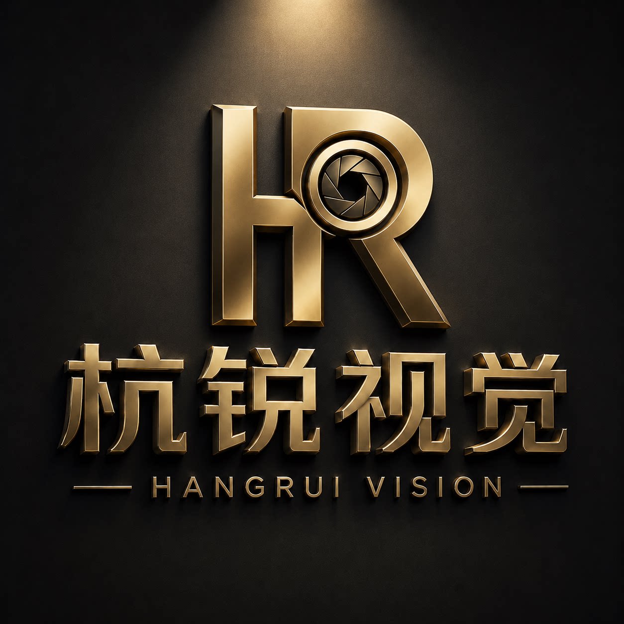 杭锐视觉STUDIO企业店的LOGO