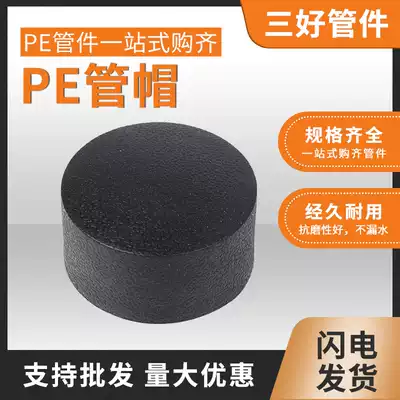 PE PIPE fittings 20 25 32 40 50 63 75 90 110 hot melt welding cap; Plugs choke plug