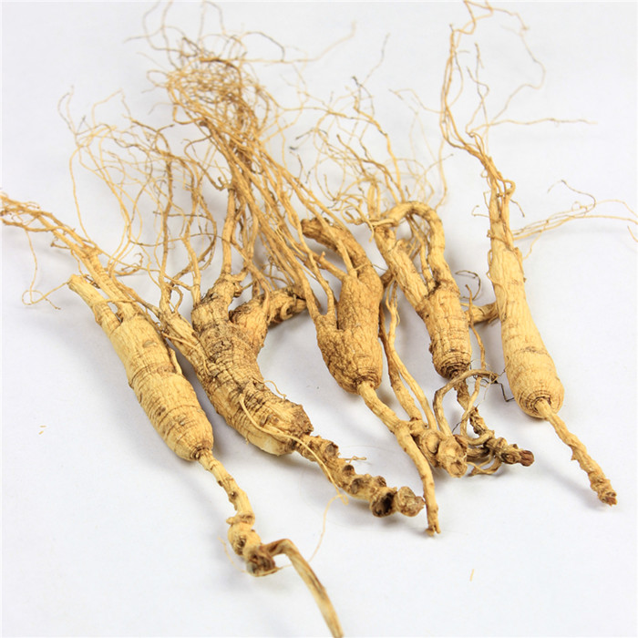 Under the forest seeds under the forest ginseng to move mountain ginseng stump is better than white ginseng raw ginseng ginseng wild ginseng 1 yuan 8 a gram of bubble wine