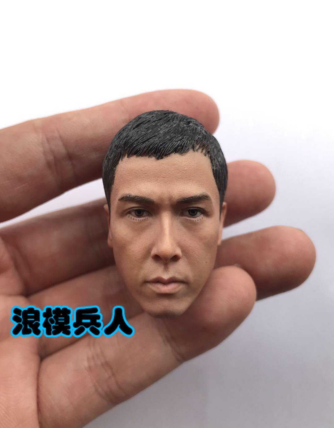 Soldiers 1 6 generation master Ye Wen Donnie Yen head carving youth models support Ht body spot