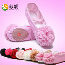 Young children cat claws red pink ballet shoes Chinese dance shoes soft bottom flowers practice girls practice Shoes dance shoes